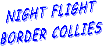  NIGHT FLIGHT 
BORDER COLLIES